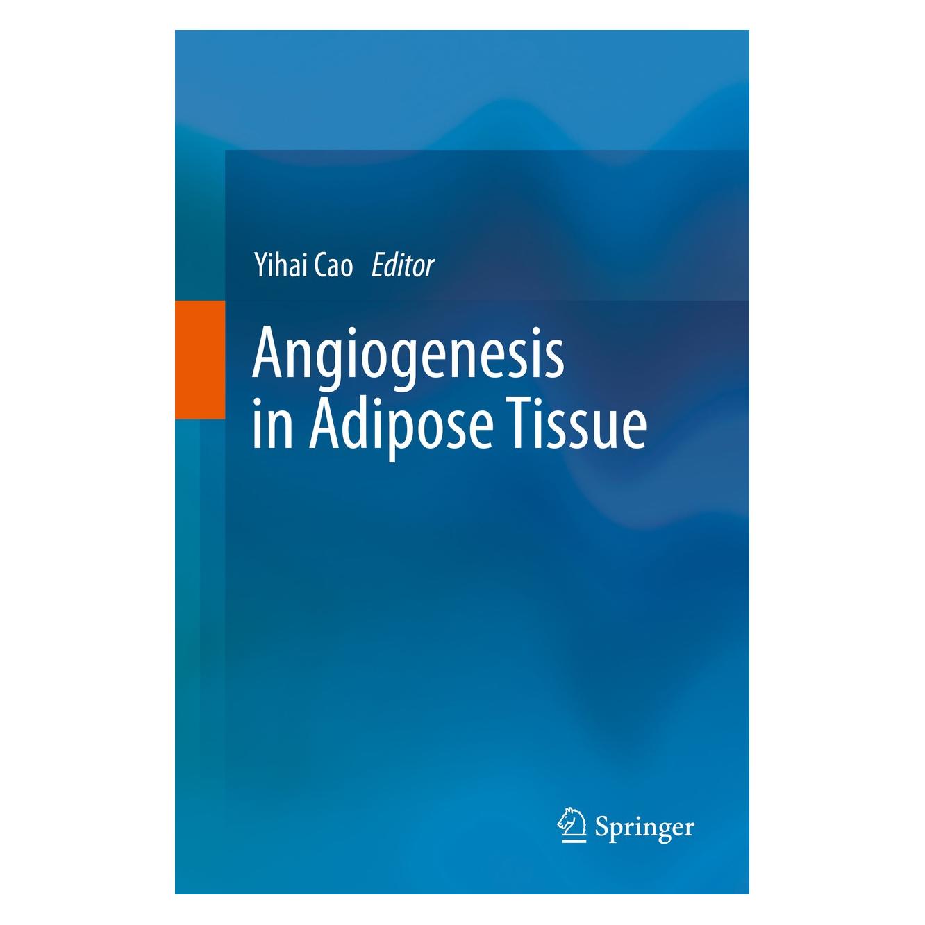 Springer Angiogenesis in Adipose Tissue (Englisch, Hardcover, Yihai Cao) (9781461480686)