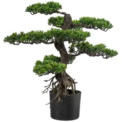CREATIV green künstliche Pflanze Bonsai, ca 75cm, grün, Kunststoff, im Topf 17x14cm schwarz