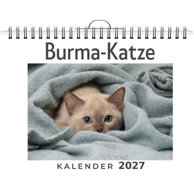 Burma-Katze