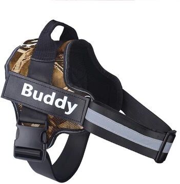Inspire Daily Merch Reflective Personalized Dog Harness No Pull Breathable Pet Vest For Small Large Dogs Outdoor Training Accessories fallen Leaves l