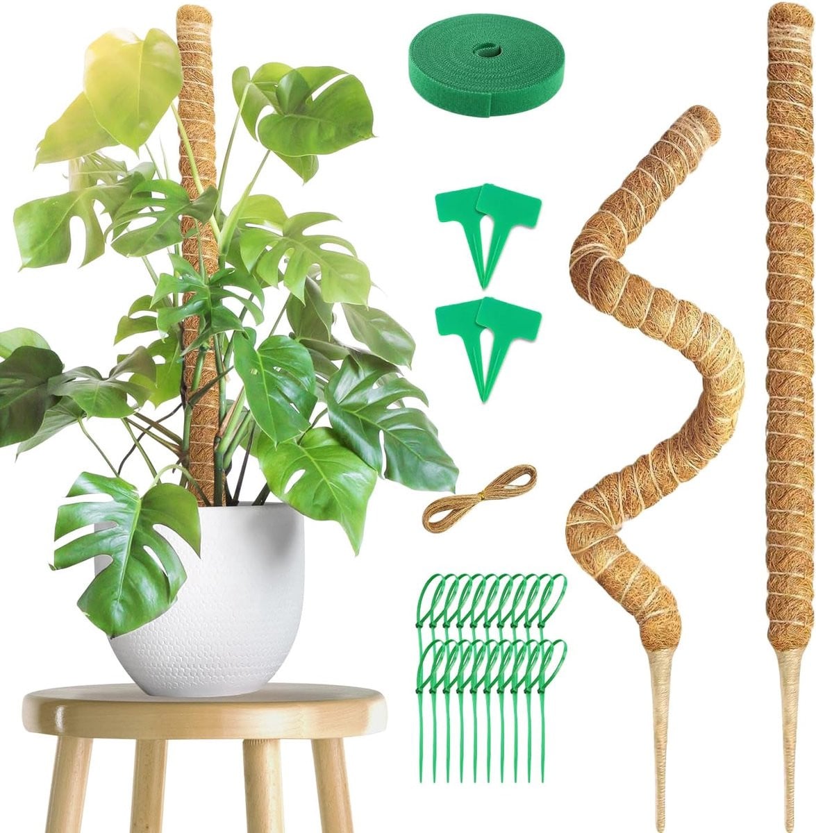 ShopVlot Plantensteun van kokosvezel met accessoires, 100 cm