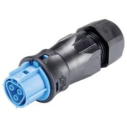 Wieland Electric 96.031.4553.9 Steckverbinder