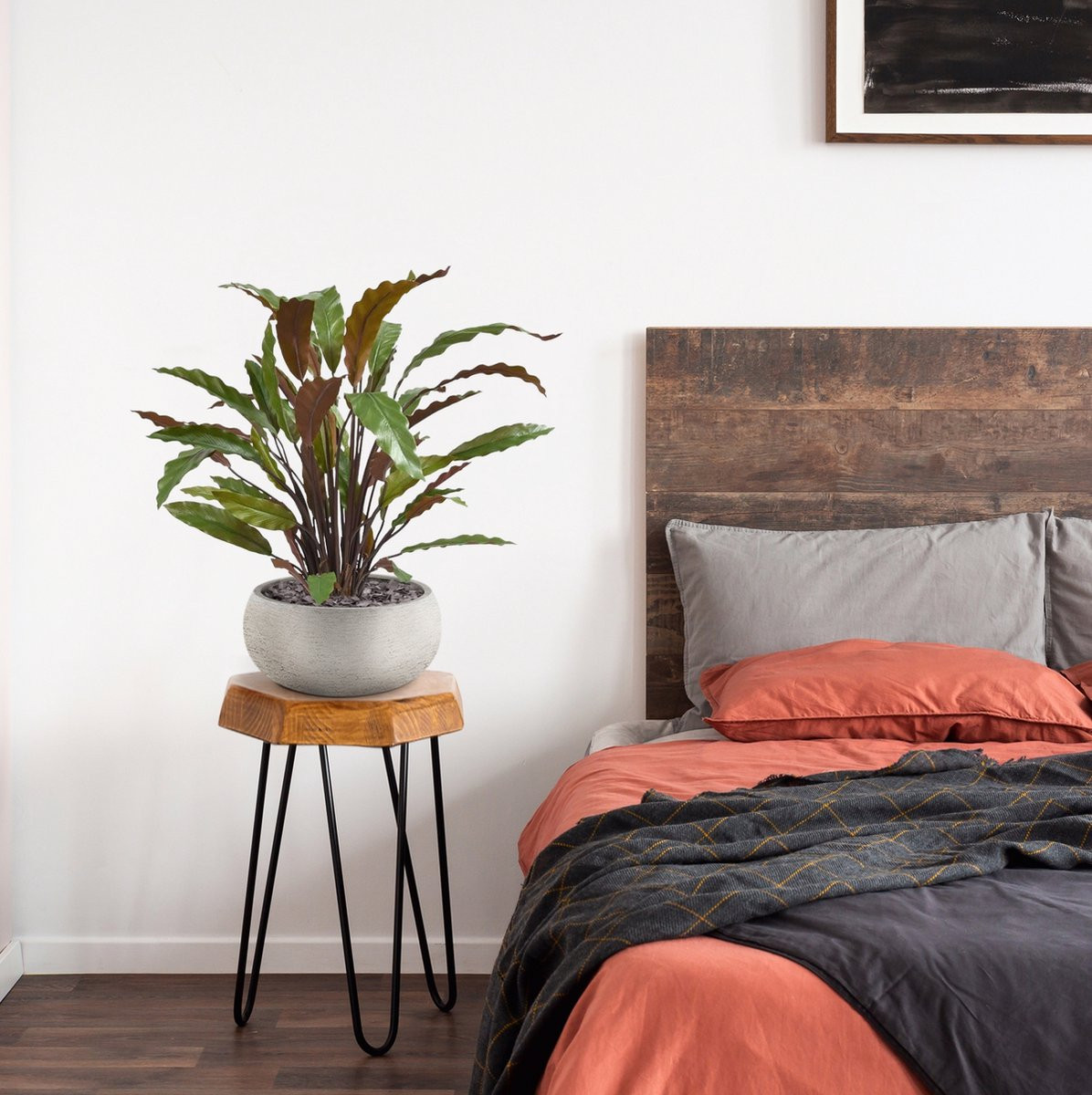 Calathea Red kunstplant, 60 cm