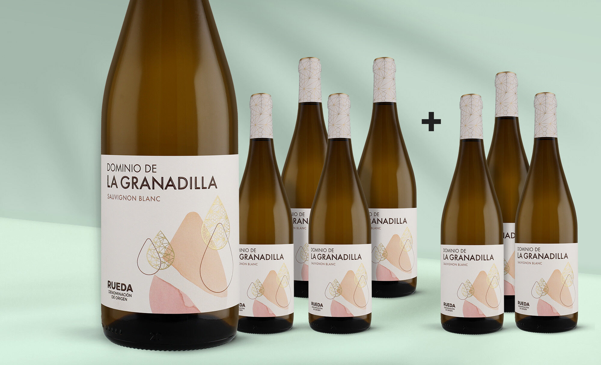 La Granadilla Sauvignon Blanc 2025 13% Vol. Weinpaket  aus Spanien
