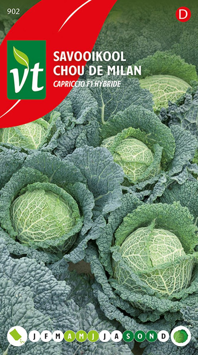 Savooikool Capriccio F1 Hybride Zaden