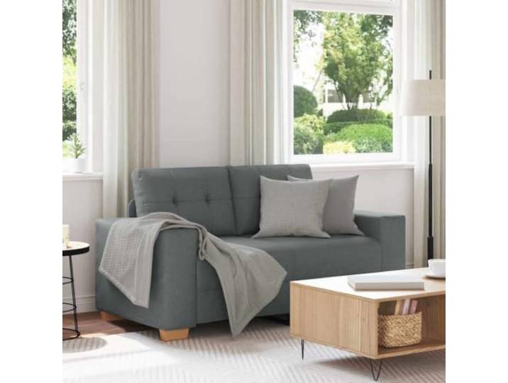 HEFZGDB Zweisitzer Sofa Dunkelgrau 120 cm Stoff Modernes Relaxsofa mit Polyestergewebe und Dickpolsterung für Wohnzimmer Schlafzimmer Büro