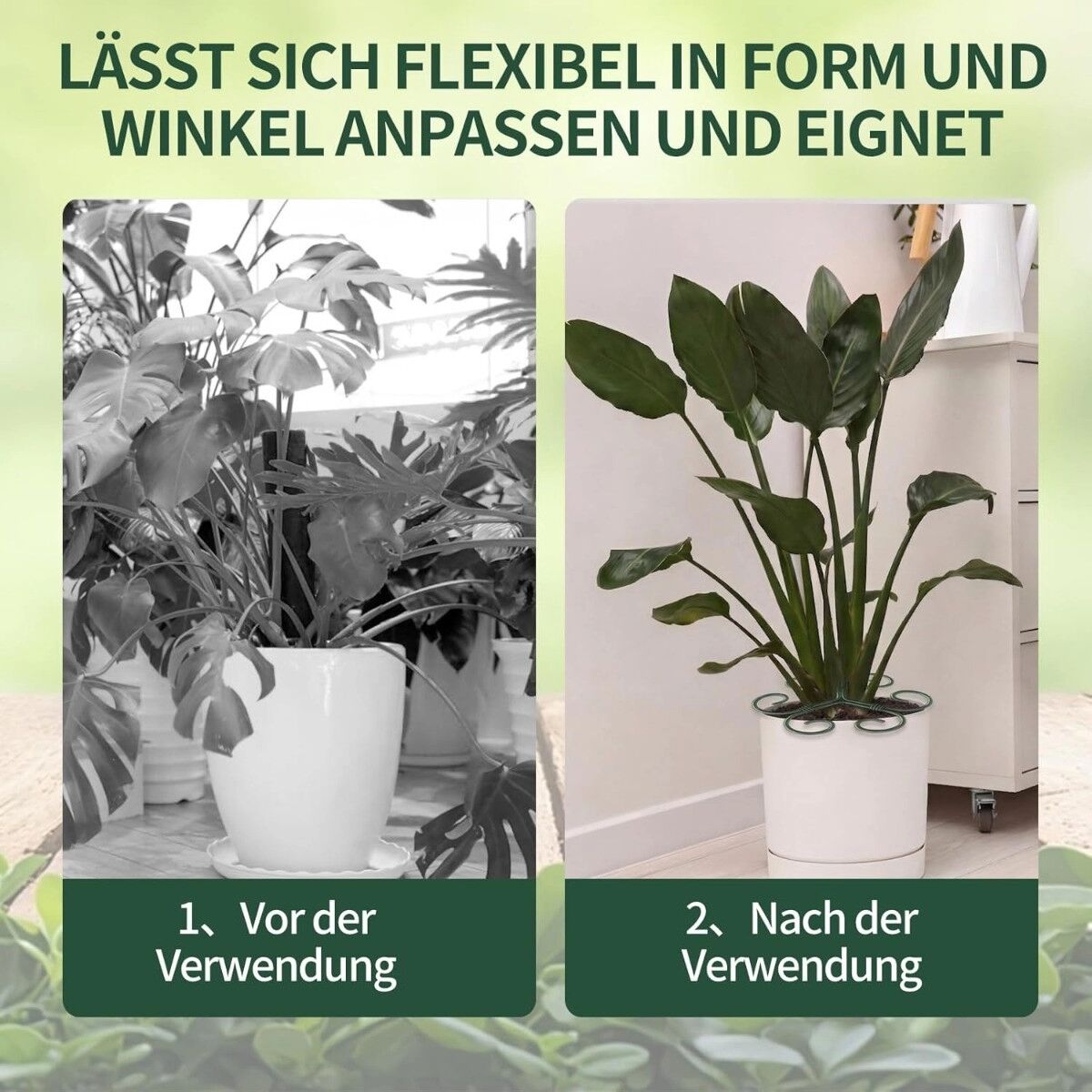 INF Supports pour Plantes 14.5cm x 14.5cm – Stabilisateurs de Tige en Fer, Lot de 2