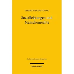 Sozialleistungen und Menschenrechte, Fachbücher von Yannick Vincent Schoog