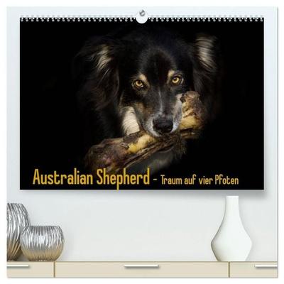Australian Shepherd - Traum auf vier Pfoten (hochwertiger Premium Wandkalender 2027 DIN A2 quer), Kunstdruck in Hochglanz