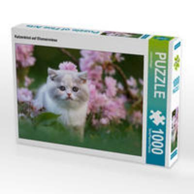 CALVENDO Puzzle Katzenkind auf Blumenwiese 1000 Teile Lege-Größe 64 x 48 cm Foto-Puzzle Bild von Janina Bürger