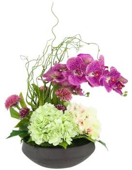 Creative Labs Orchid Centerpiece with Hydrangeas and Dahlias