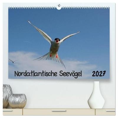 Nordatlantische Seevögel (hochwertiger Premium Wandkalender 2027 DIN A2 quer), Kunstdruck in Hochglanz