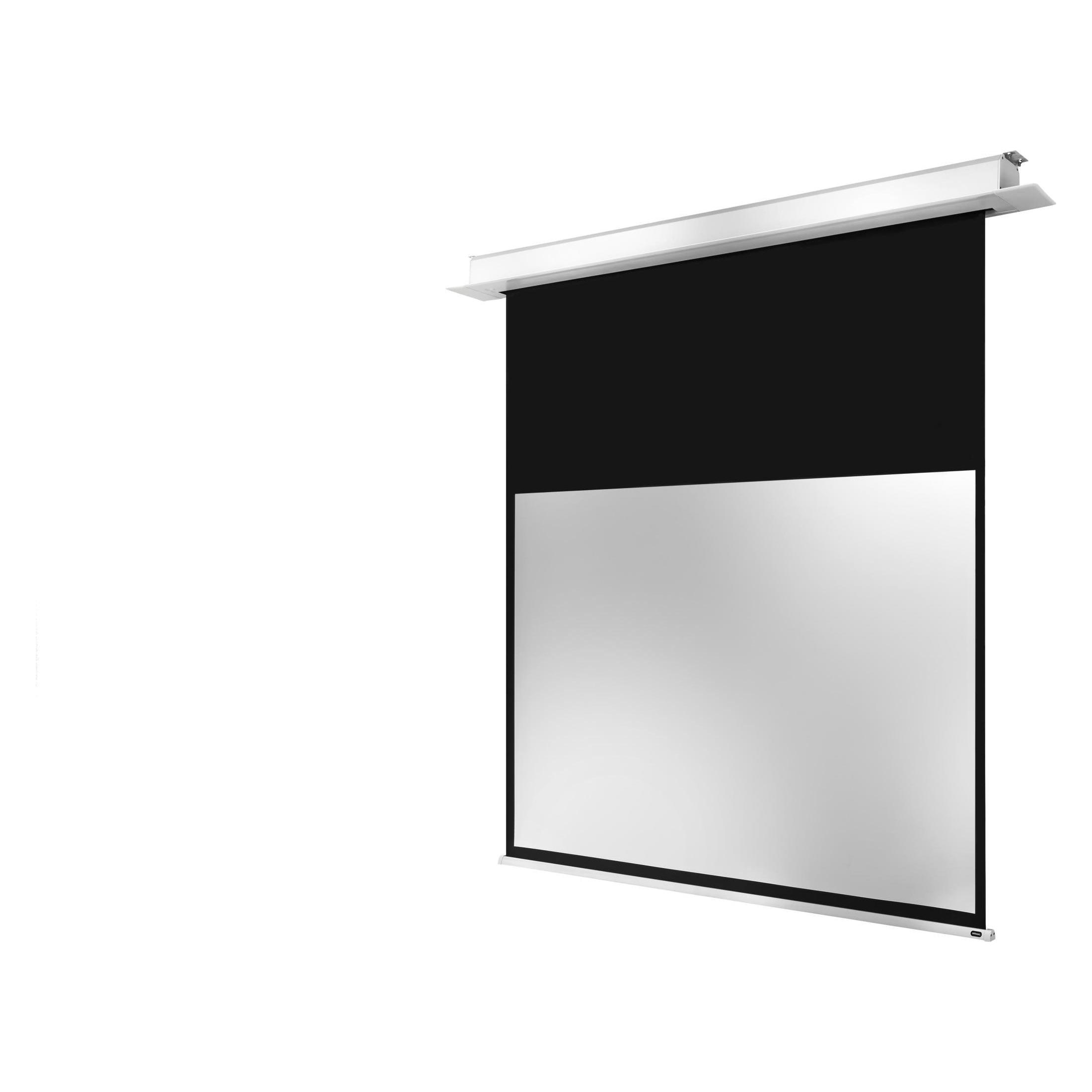 Celexon Professional Plus (90.40", 16:9) (1000000877)