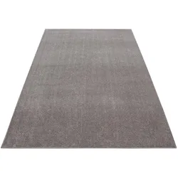Hochflorteppich Ata Beige ca. 240x340cm