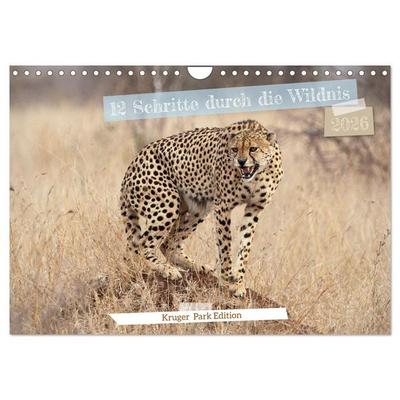 12 Schritte durch die Wildnis, Kruger Park Edition (Wandkalender 2026 DIN A4 quer), CALVENDO Monatskalender