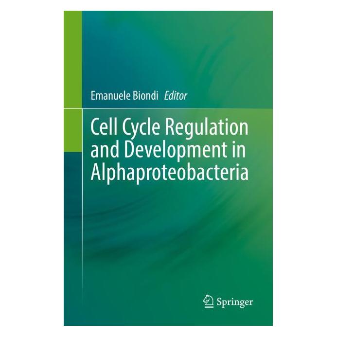 Springer Cell Cycle Regulation and Development i (Englisch, Hardcover, Emanuele Biondi) (63483494)