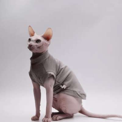 Inspire Picks DUOMASUMI Cooling Cotton Cat Vest For Hairless Cats grey xsold