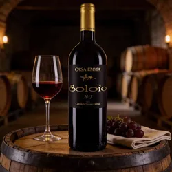 Casa Emma 2017 Casa Emma Soloio 2017 Merlot Italien
