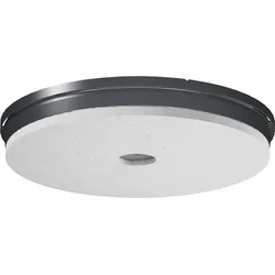 Primo Frontteil XL250 P876