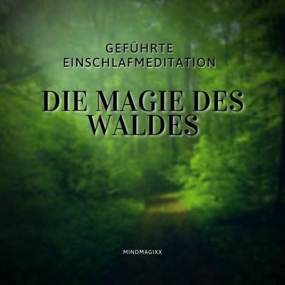 Geführte Einschlafmeditation / Einschlafhilfe / Hörbuch zum Einschlafen - Institut für gesundes Einschlafen, Audio, 4066339224735