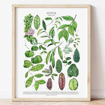 Inspire Select Green Botanical Leaves Canvas Wall Art Calming Nature Houseplant Print 8 7.87 X 11.81 In