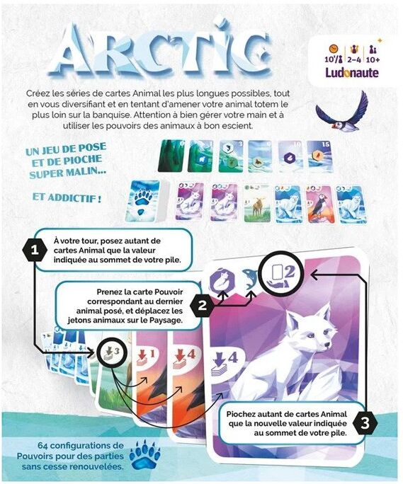 Ludonaute Arctic