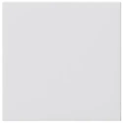 Gira Blindabdeckung rws 810803