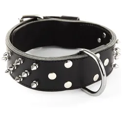 Martin Sellier Nietenhalsband aus Rindsleder für Hunde (Hund, Allgemein, Spazieren), Halsband + Leine