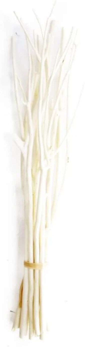 Decofinder Japanischer Papierbusch Bund Gebleicht