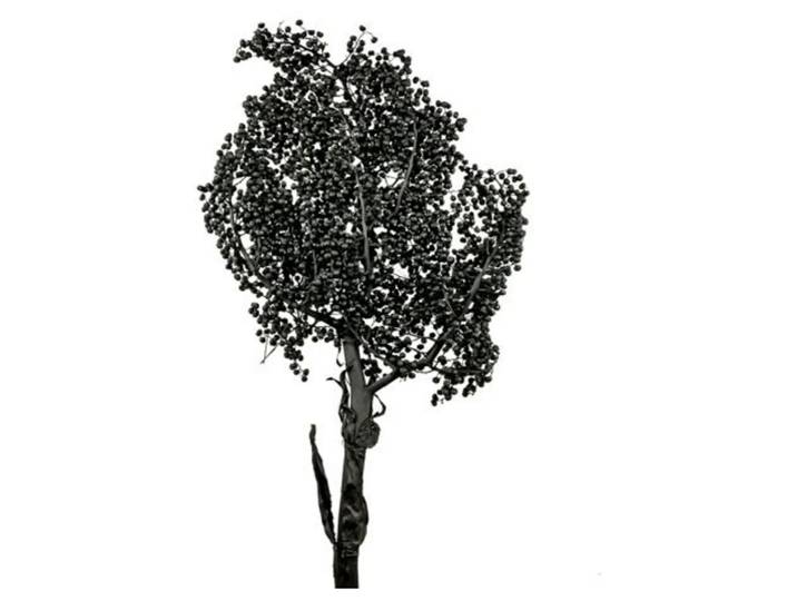 Kunstblumen Palm, Schwarz Decofinder / Grösse: x cm