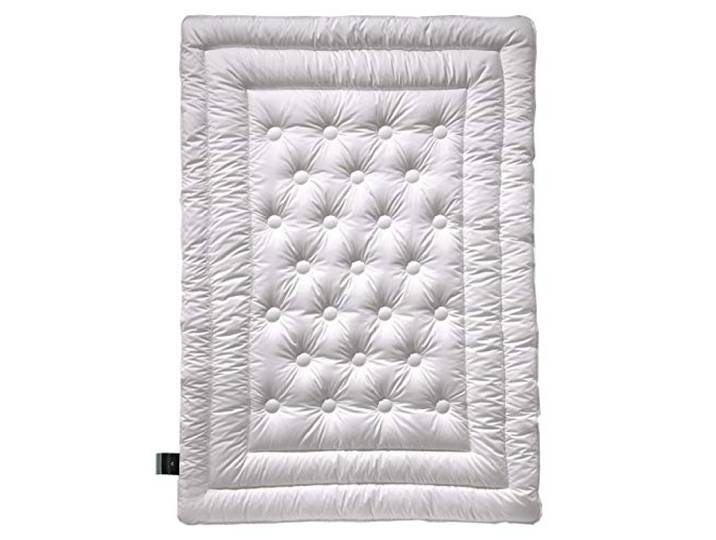 Billerbeck Bettdecke Brilliant - Ganzjahresdecke – 200 x 200 cm – Decke für das ganze Jahr – mit 100% Kamelhaar