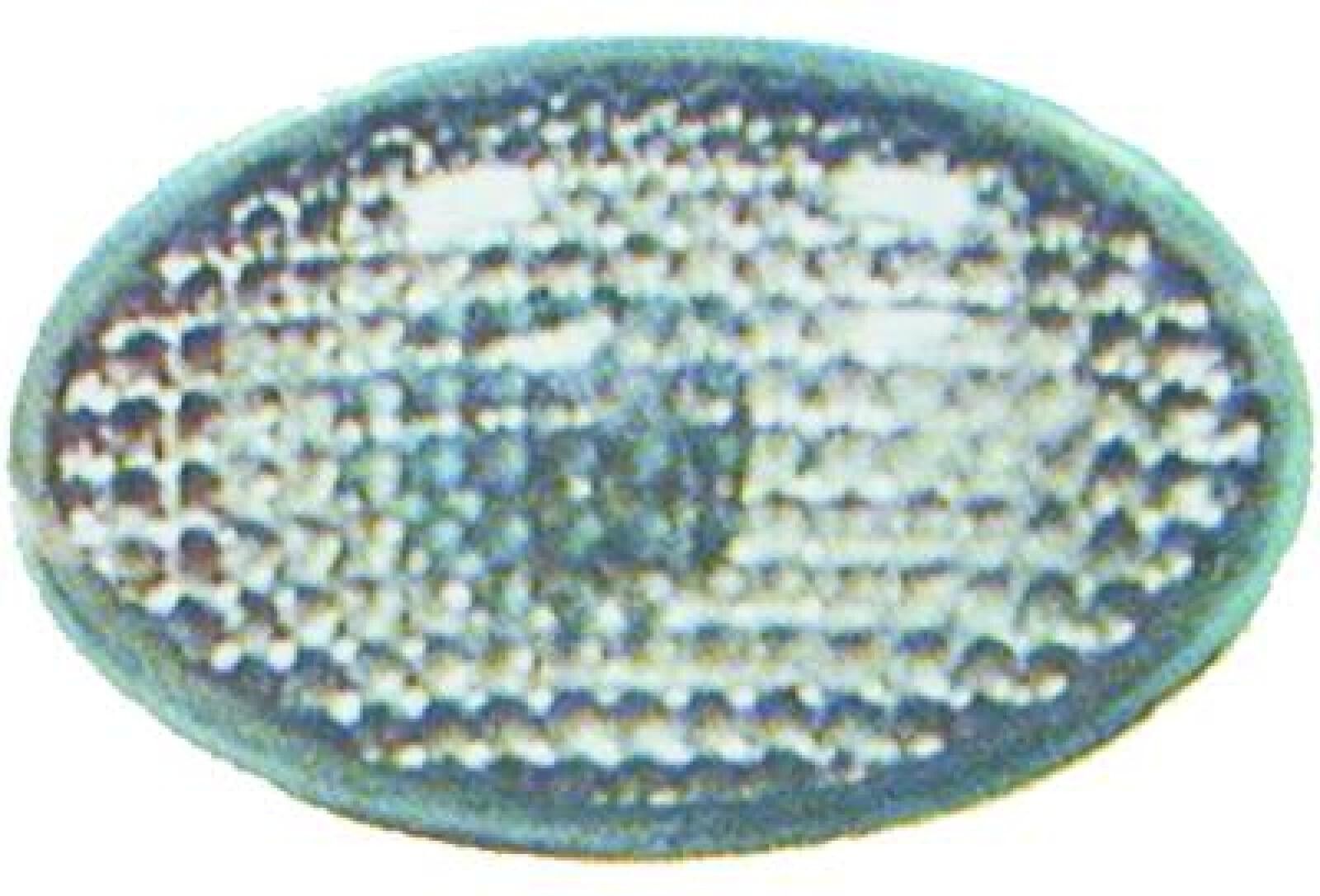 DIEDERICHS 1812078 Side indicator