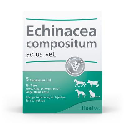 Echinacea Compositum ad us.vet.Ampullen 5 St Ampullen