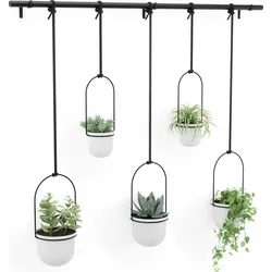 Triflora 5 Hängende Blumentöpfe weiß