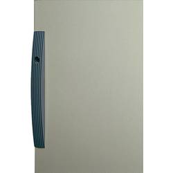 Schneider Electric NSYEMPOLN Schneider NSYEMPOLN FLACHE SCHLOSSBLENDE Verriegelung Kunststoff 1 St.