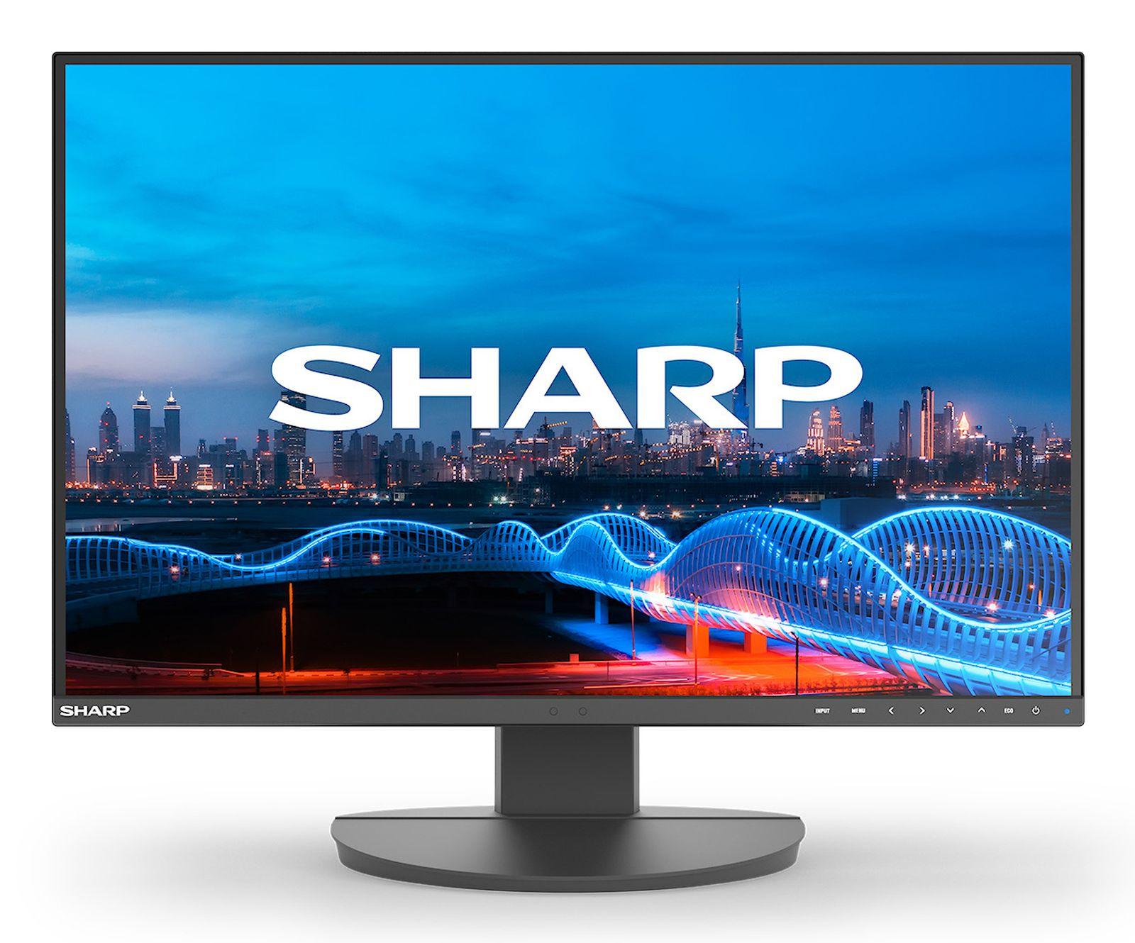 Sharp MultiSync EA241W, 61 cm (24"), 1920 x 1200 Pixel, Full HD, LCD, 5 ms, Schwarz