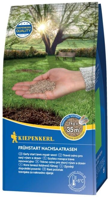 Kiepenkerl Gazon de démarrage 1,0 kg gazon de regarnissage précoce sac à fond plat ; NEBELUNG (651852)