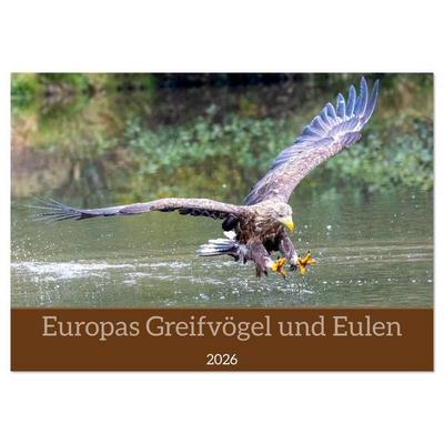Europas Greifvögel und Eulen (Wandkalender 2026 DIN A3 quer), CALVENDO Monatskalender