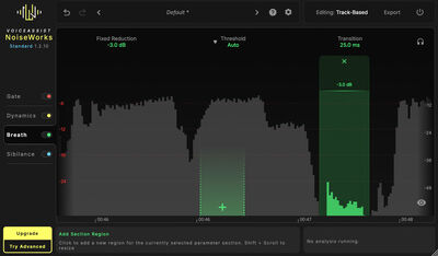 NoiseWorks VoiceAssist Standard