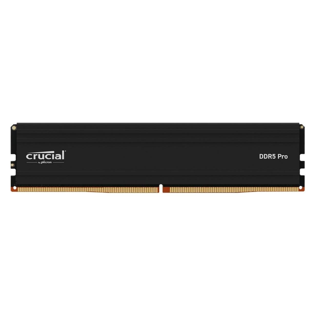 Crucial Pro (1 x 24GB, 5600 MHz, DDR5-RAM) (CP24G56C46U5)