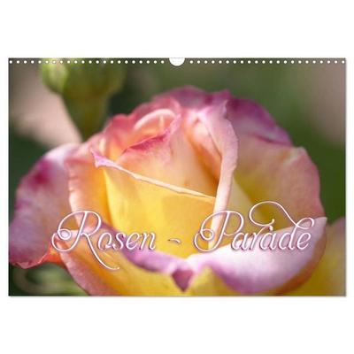 Rosen - Parade (Wandkalender 2027 DIN A3 quer), CALVENDO Monatskalender