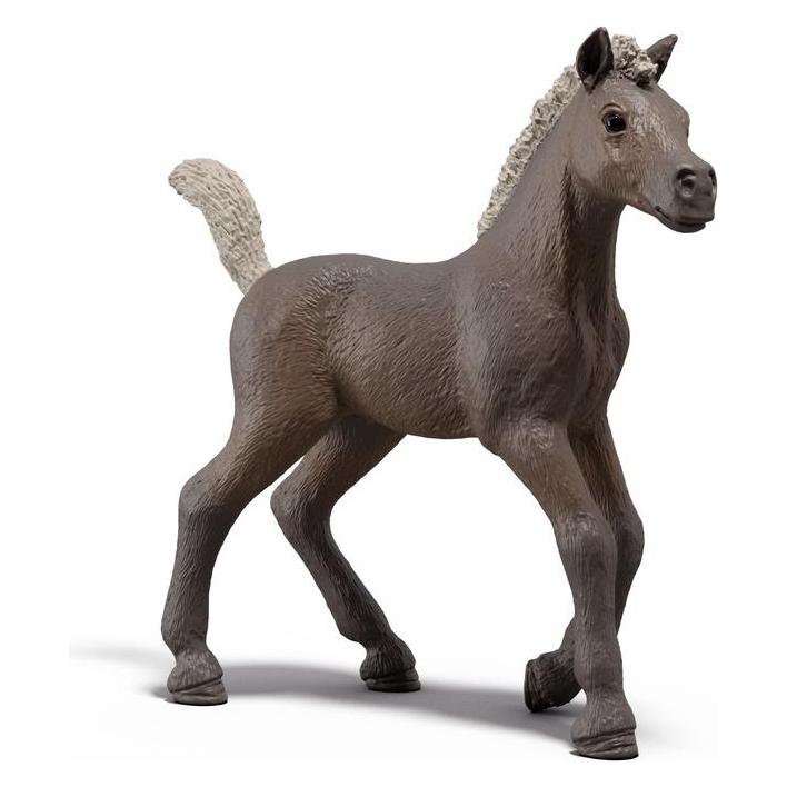 Schleich Sammelfohlen Darcy (81460)