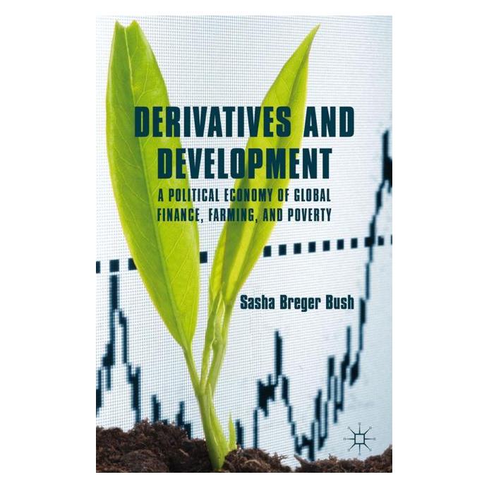 Springer Derivatives and Development (Englisch, Softcover, Kenneth A. Loparo) (55844097)