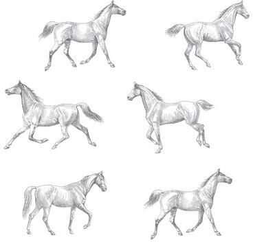 ESTA Home Burnett Off-White Horses Wallpaper - 20.5 x 396 x 0.025