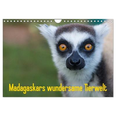 Madagaskars wundersame Tierwelt (Wandkalender 2027 DIN A4 quer), CALVENDO Monatskalender