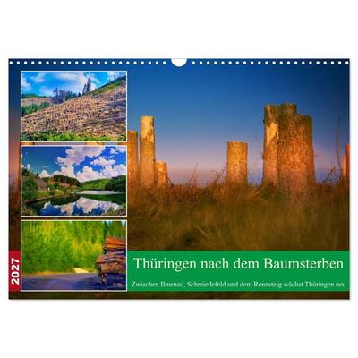 Thüringen nach dem Baumsterben (Wandkalender 2027 DIN A3 quer), CALVENDO Monatskalender