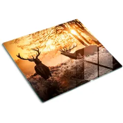 GLASPLATTE 60x52 cm Sonnenaufgang über dem Hirsch