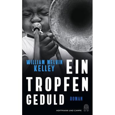 Ein Tropfen Geduld, Gebundene Ausgabe von William Melvin Kelley, Hoffmann Und Campe, 978-3-455-01226-2