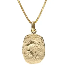 trendor 15382-03 Fische Sternzeichen Gold 333 / 8K mit vergoldeter Silberkette, 40 cm