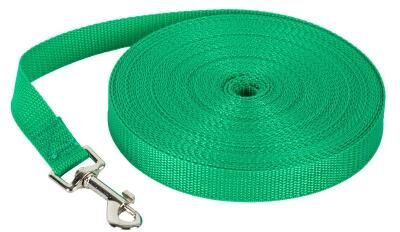 Inspired Living Long Dog Leash For Training Outdoor Nylon Dog Leash green 1.2m(4ft)